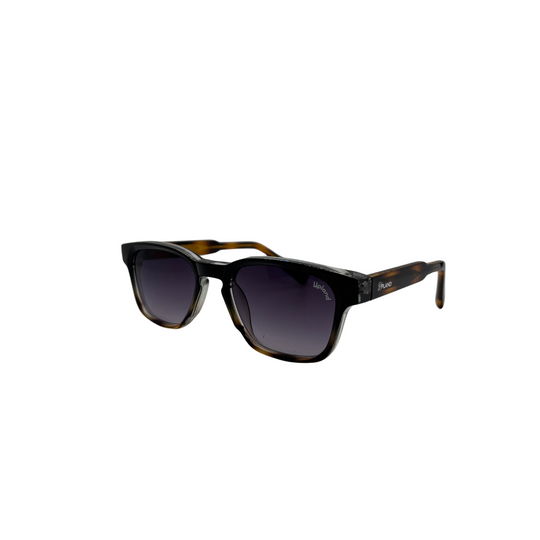 Full Turtle Shell Square Glasses