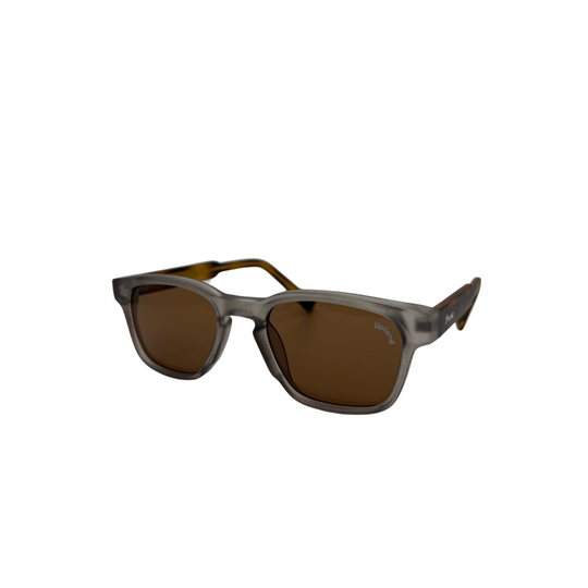 Smoke Translucent And Turtle Shell Square Frame Sunglasses